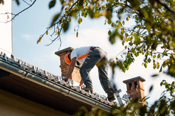 Best Roof Gutter Cleaning  in Sonoma State University, CA